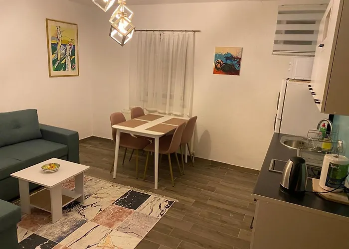 招待所 娜娜别墅 3*