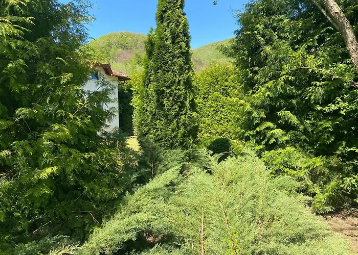 娜娜别墅 库伦瓦库夫